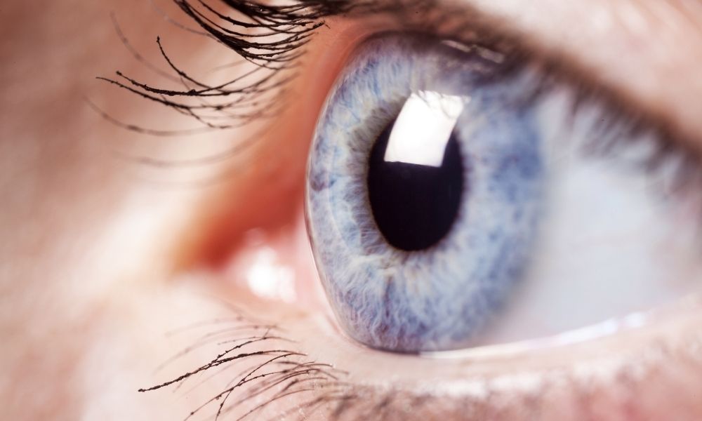 5 Tips for Good Eye Health and Maintaining Eyesight